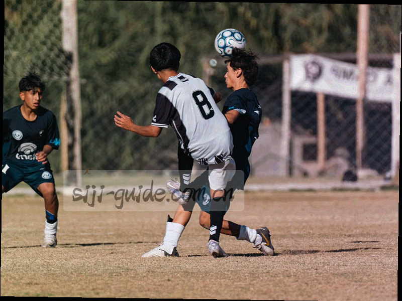 电脑端四季中国正式版V3.2主界面